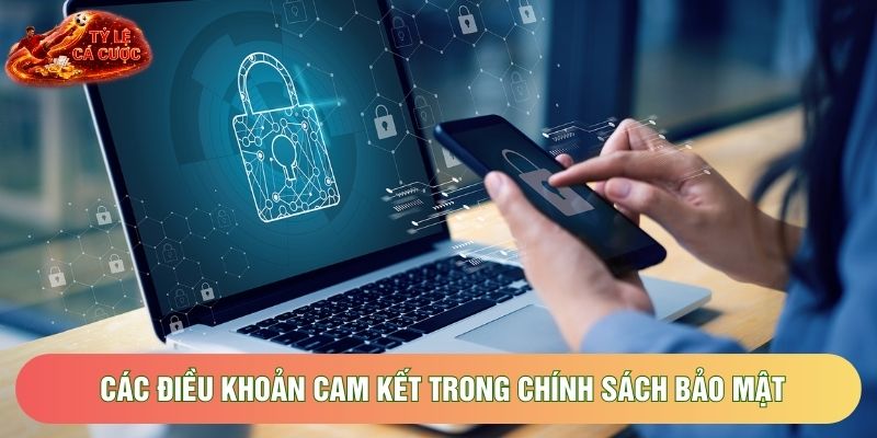 Các điều khoản cam kết trong chính sách bảo mật