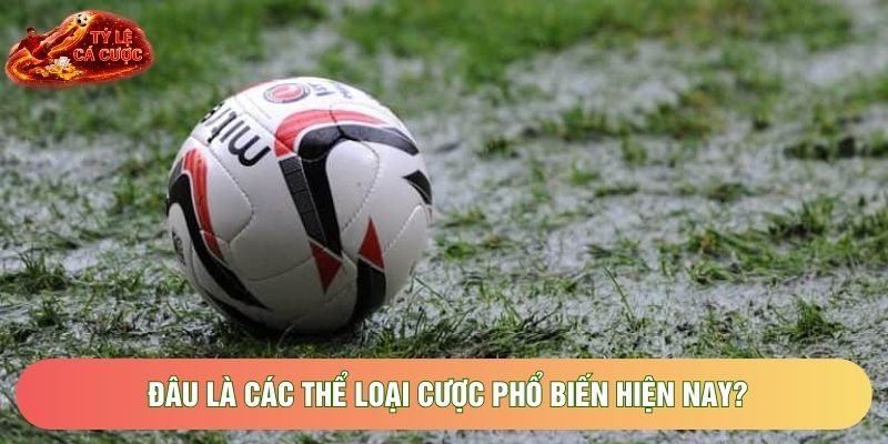 Đâu là các thể loại cược phổ biến hiện nay? Đâu là các thể loại cược phổ biến hiện nay?