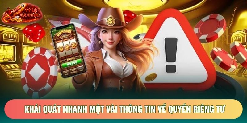 Khái quát nhanh một vài thông tin về quyền riêng tư
