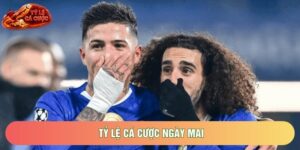 Tỷ Lệ Cá Cược Ngày Mai Và Những Biến Động Kèo Nhà Cái Mới Nhất