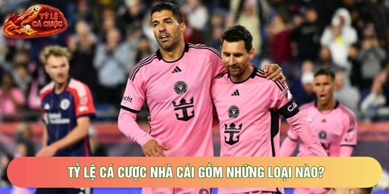 Tỷ lệ cá cược nhà cái gồm những loại nào?