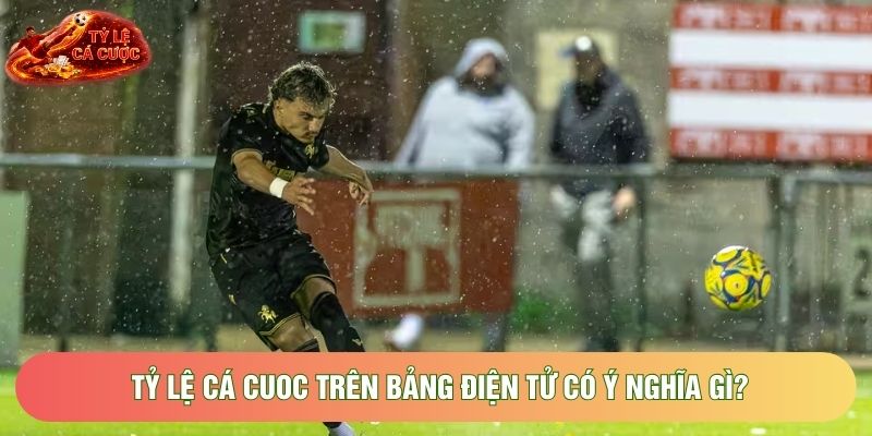 Tỷ lệ cá cuoc trên bảng điện tử có ý nghĩa gì? Tỷ lệ cá cuoc trên bảng điện tử có ý nghĩa gì?