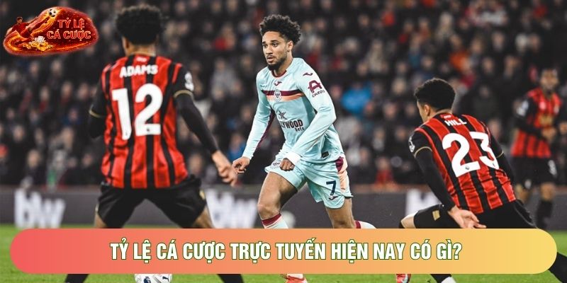 Tỷ lệ cá cược trực tuyến hiện nay có gì? Tỷ lệ cá cược trực tuyến hiện nay có gì?