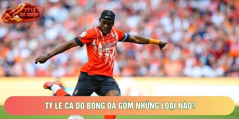 Ty le ca do bong da gồm những loại nào? Ty le ca do bong da gồm những loại nào?