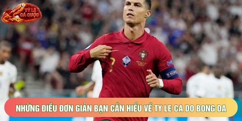 Những điều đơn giản bạn cần hiểu về ty le ca do bong da
