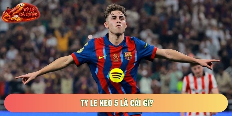 Ty le keo 5 là cái gì? Ty le keo 5 là cái gì?