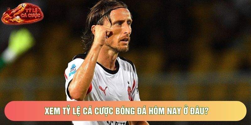 Xem tỷ lệ cá cược bóng đá hôm nay ở đâu?